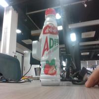 Dataset Image
