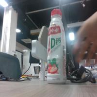 Dataset Image