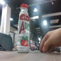 Dataset Image