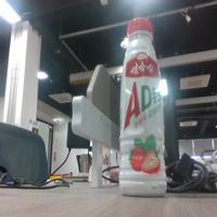 Dataset Image