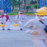 Dataset Image