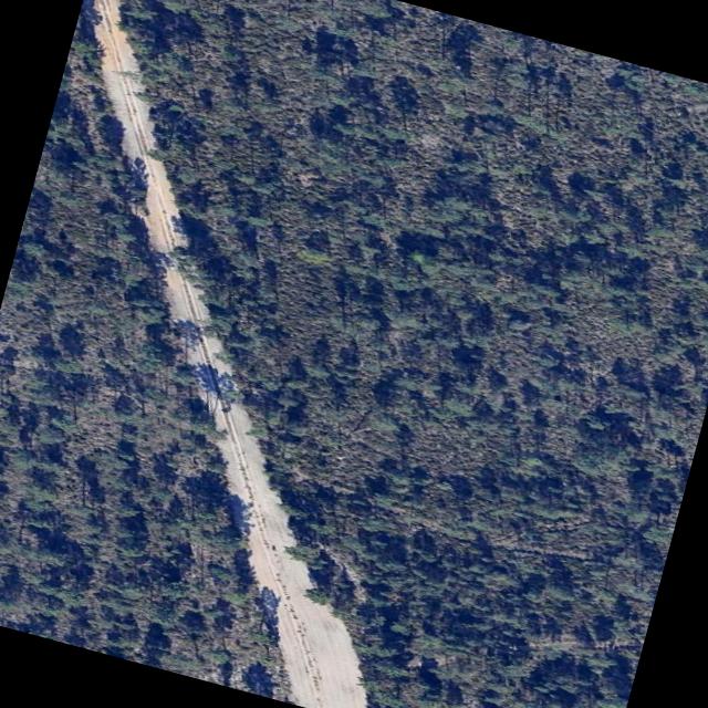 Dataset Image