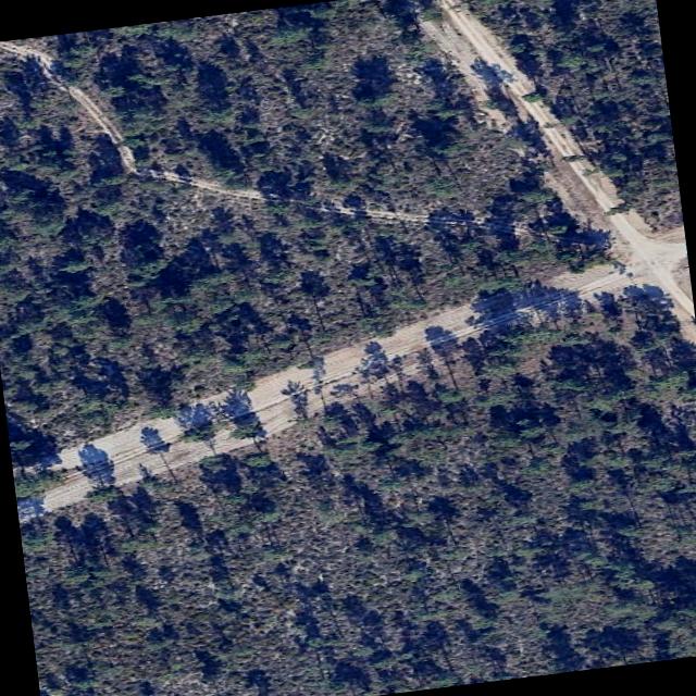Dataset Image
