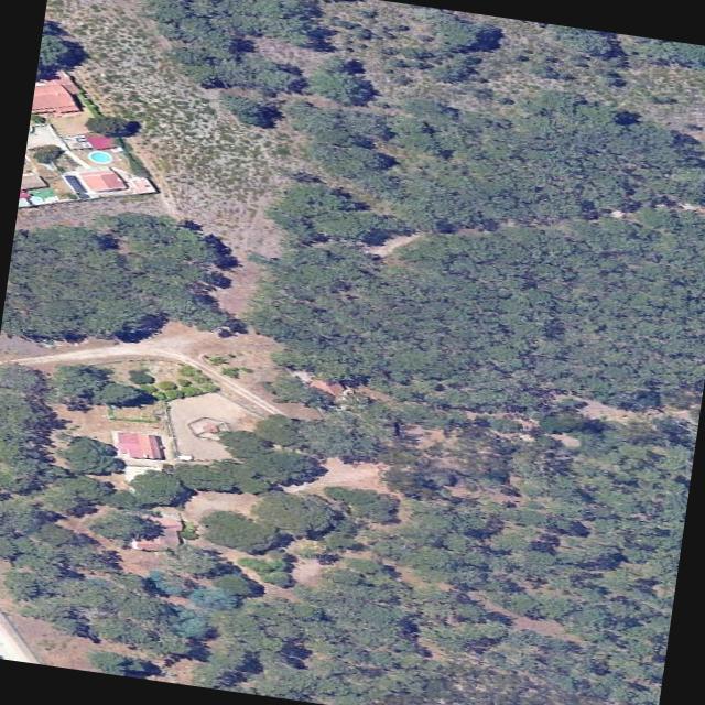 Dataset Image
