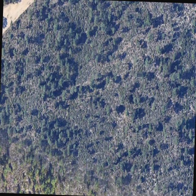 Dataset Image