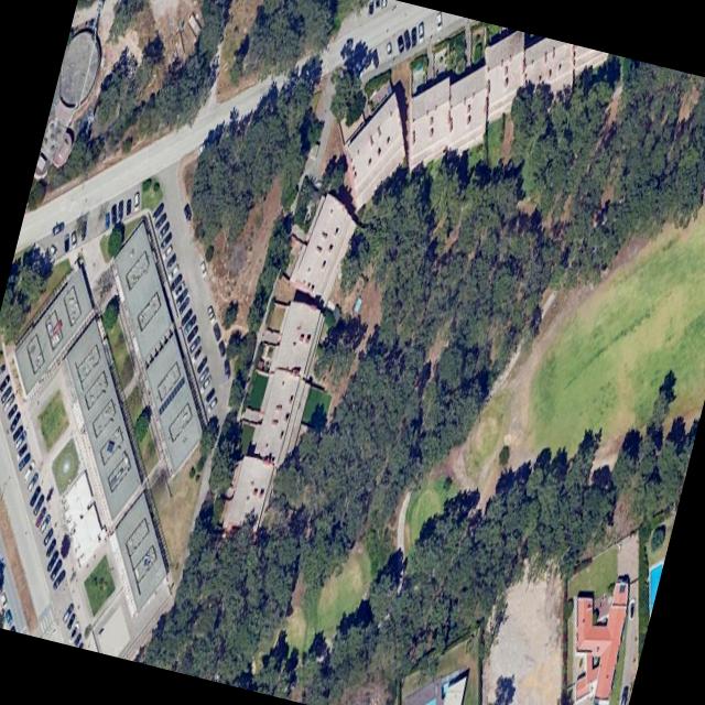 Dataset Image
