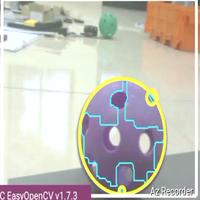 Dataset Image