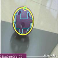 Dataset Image
