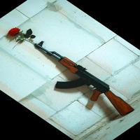 Dataset Image