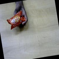 Dataset Image