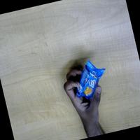 Dataset Image