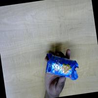 Dataset Image