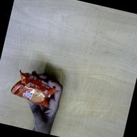 Dataset Image