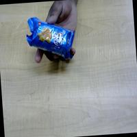 Dataset Image