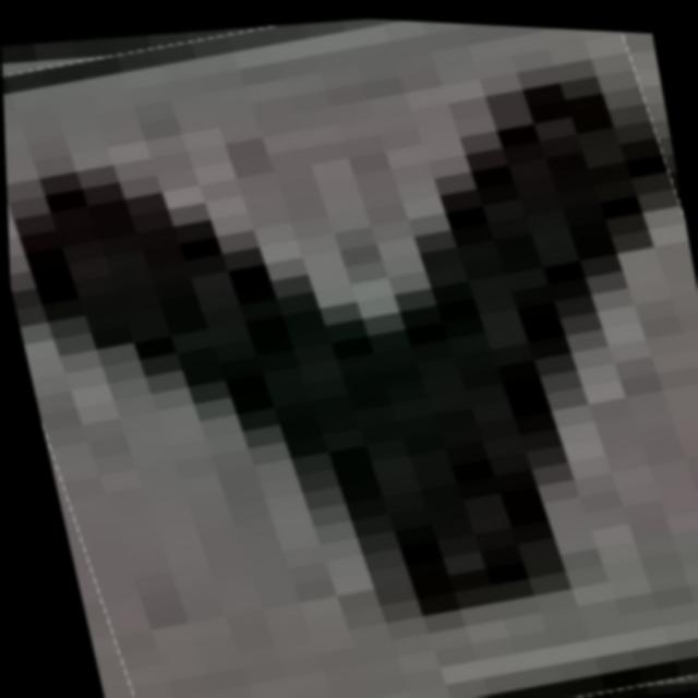 Dataset Image