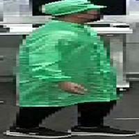 Dataset Image