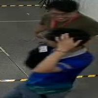 Dataset Image