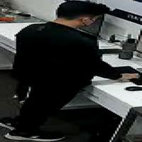 Dataset Image