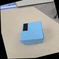 Dataset Image