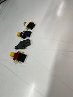 Dataset Image
