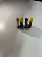 Dataset Image