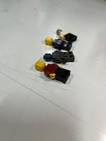 Dataset Image