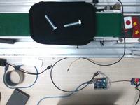 Dataset Image