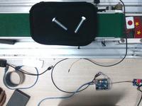 Dataset Image