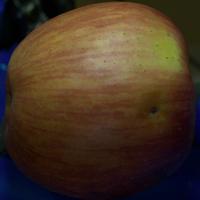 Dataset Image