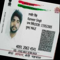 Dataset Image