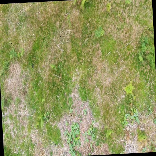 Dataset Image