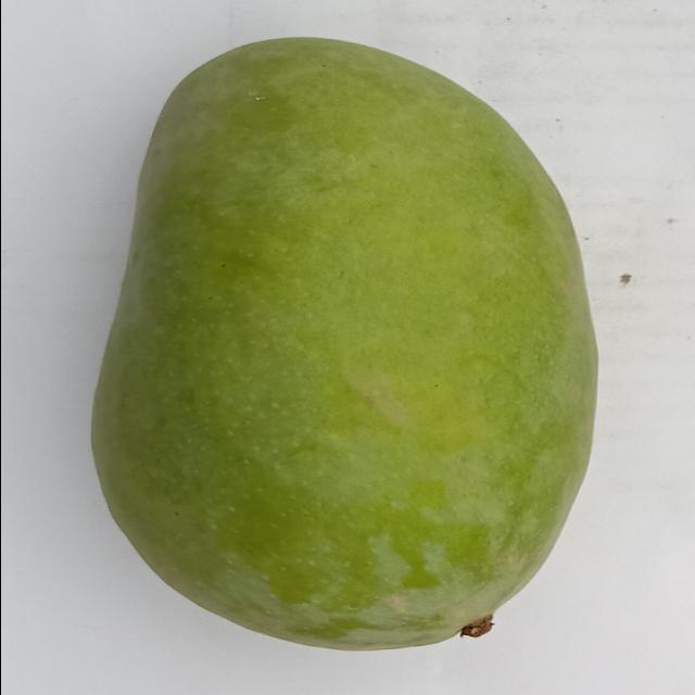 Dataset Image