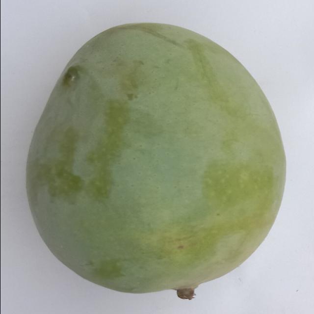 Dataset Image