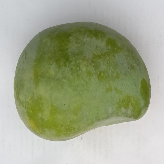 Dataset Image