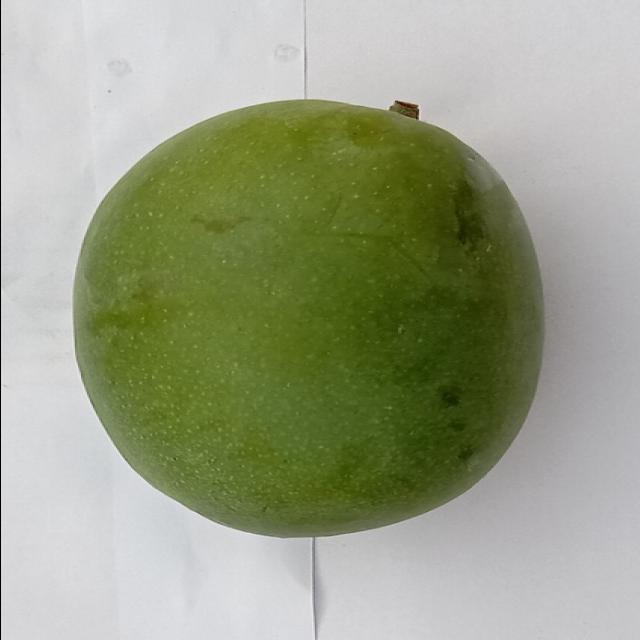 Dataset Image