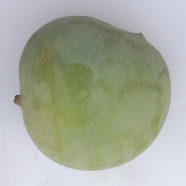 Dataset Image