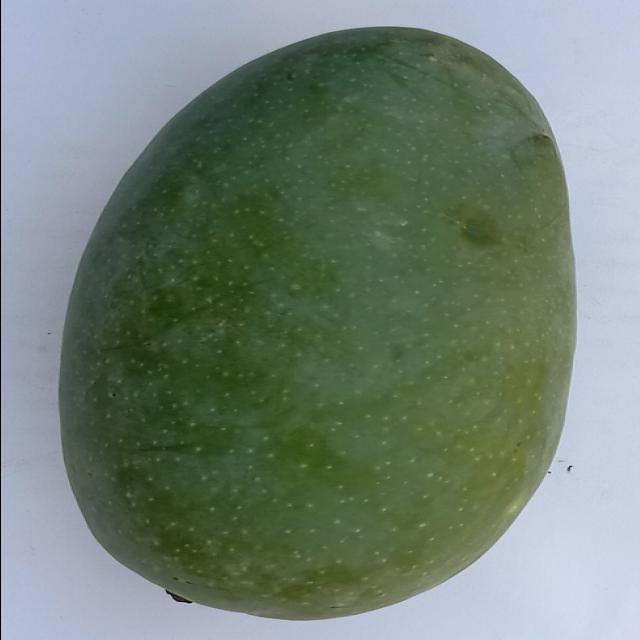 Dataset Image
