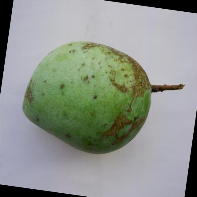 Dataset Image