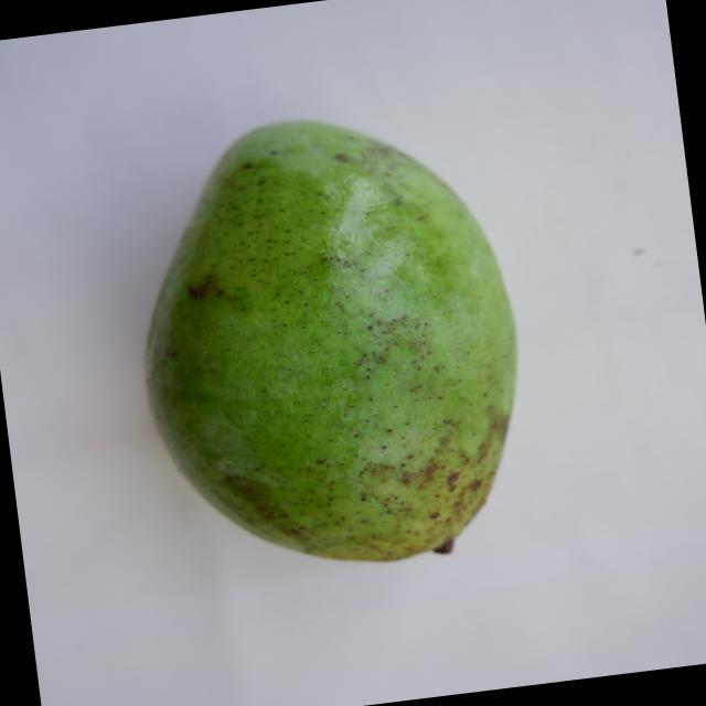 Dataset Image