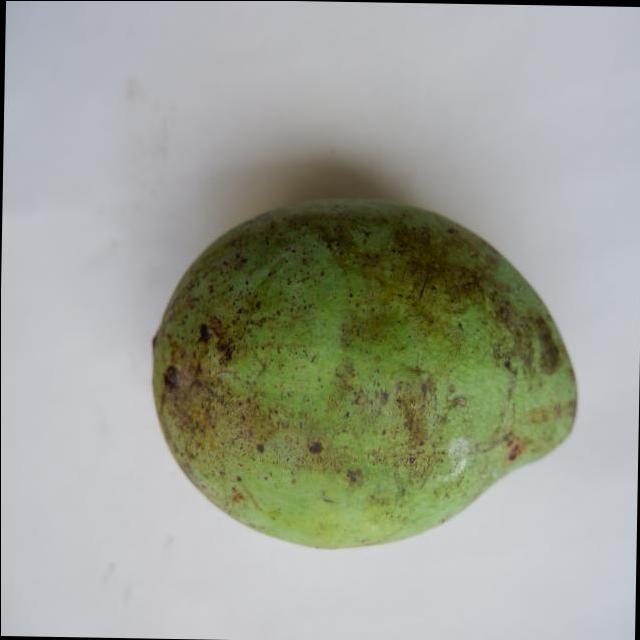 Dataset Image