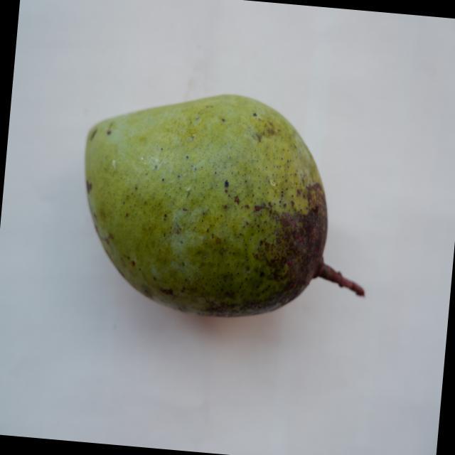 Dataset Image