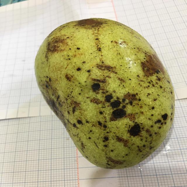 Dataset Image