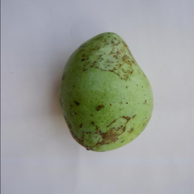 Dataset Image