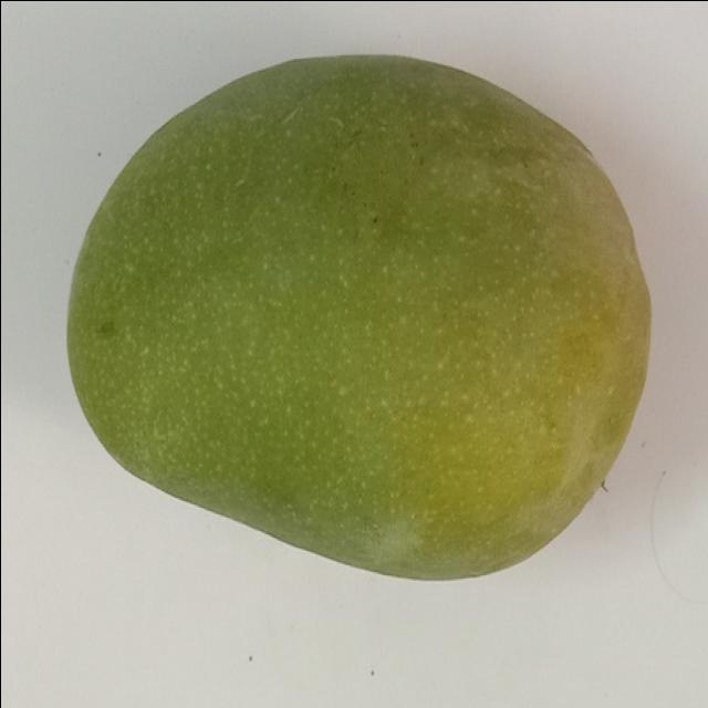 Dataset Image