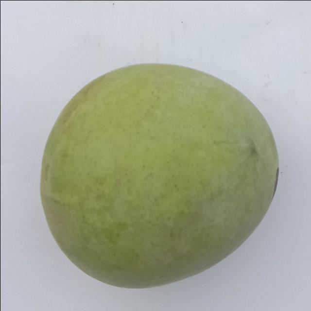 Dataset Image
