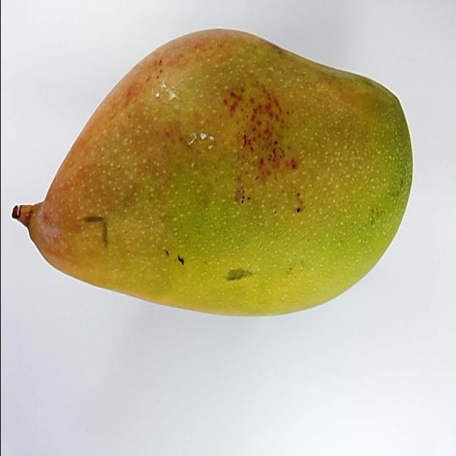 Dataset Image