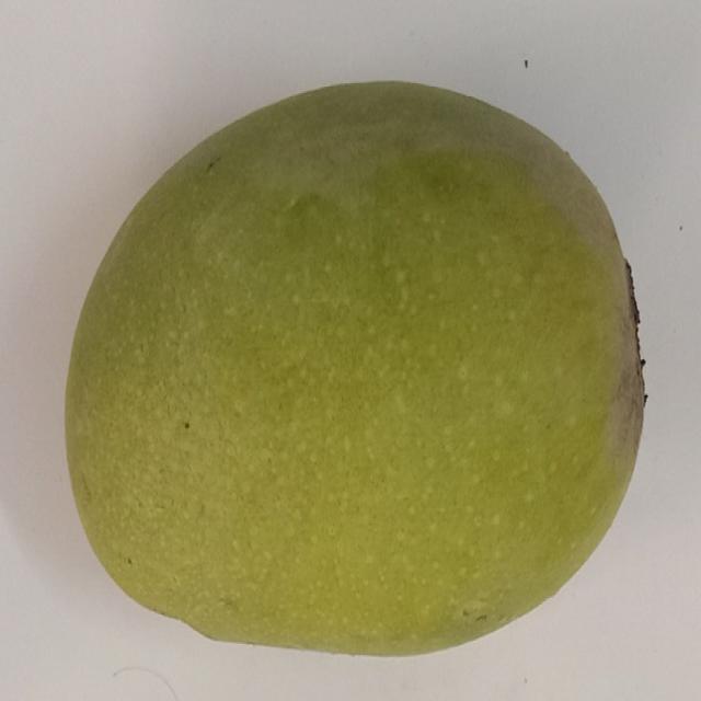 Dataset Image