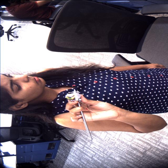 Dataset Image