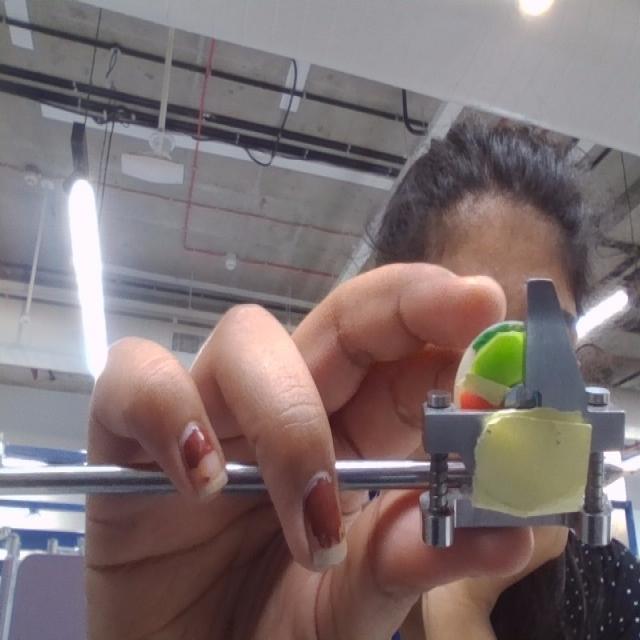 Dataset Image