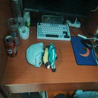 Dataset Image